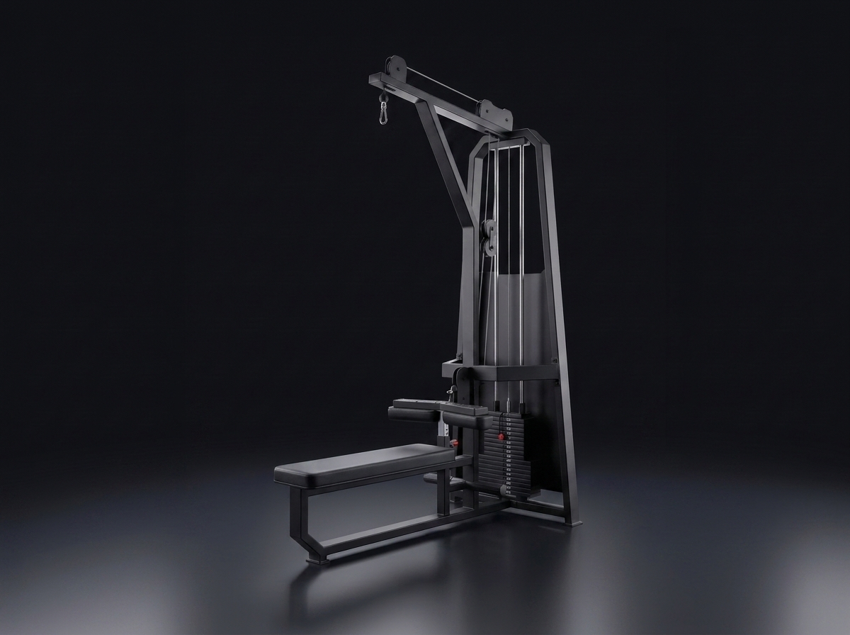 Puxador Conjugado WGym